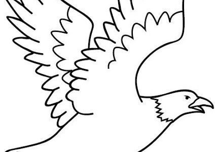 Dibujo de águila